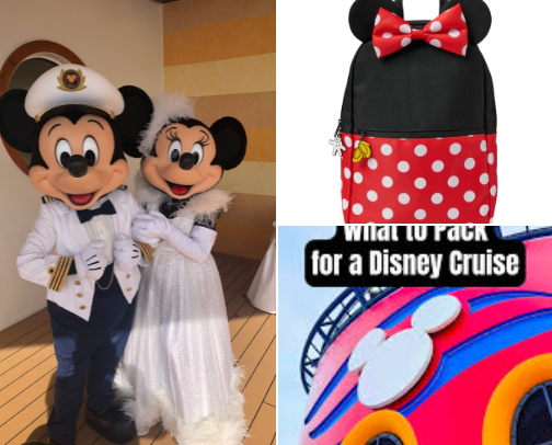 My fav disney finds from the parks and Beyond!Dress up every park day or just for fun at home while you DREAM about Disney cover photo collage