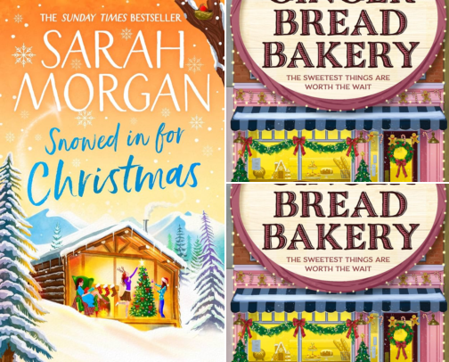 Christmas books for her 🥂 cover photo collage