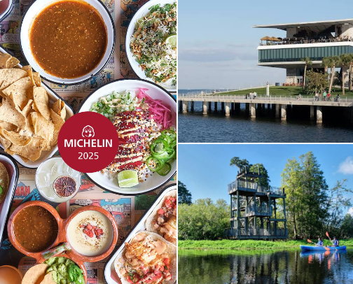 Things to do in Tampa, Florida from a local cover photo collage