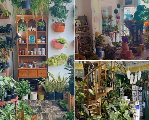 Small businesses - Buffalo area! cover photo collage