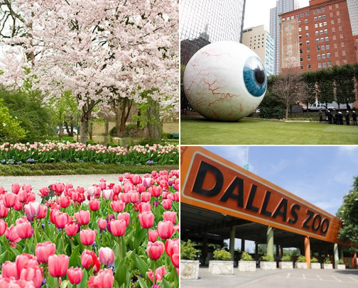 Favorite Places In Dallas cover photo collage