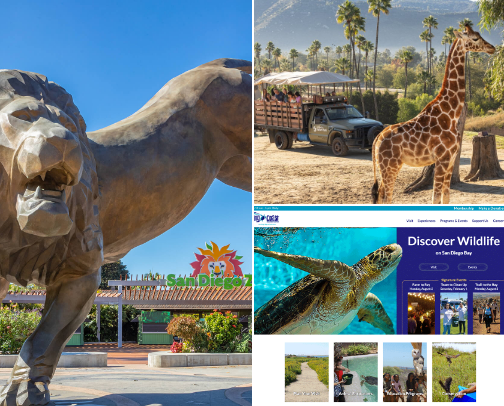 San Diego Travels cover photo collage