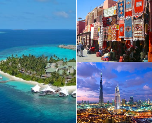 Vacation packages.🏝️🐢 cover photo collage