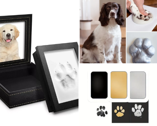 🐕🐈 LOVER MUST-HAVES cover photo collage