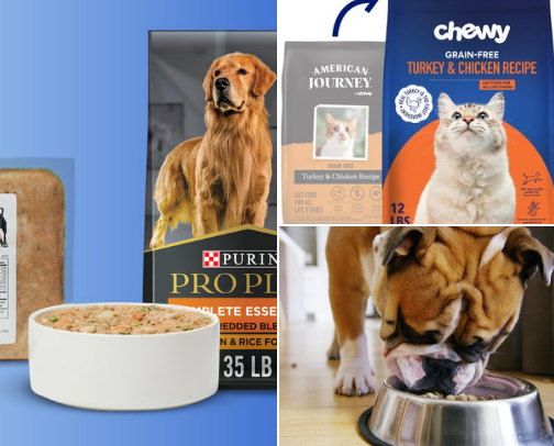 Pet Care Essentials Every Pet Owner Needs 🐾 | Dog & Cat Must-Haves cover photo collage