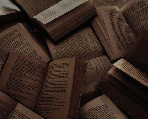 Hidden Treasures: Books That Deserve the Hype cover photo collage