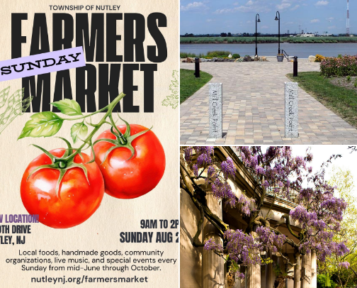 Favorite Spots To Check Out- For Outdoors, Entertainment, and Good Eats cover photo collage