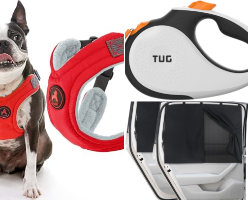 Milo's Must-Haves 🐾 | Life with Our Boston Terrier cover photo collage