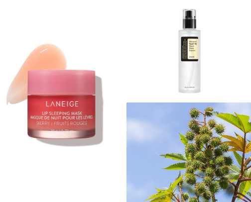 My favorite beauty recs cover photo collage