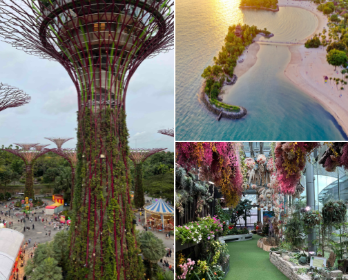 14 things you shouldn’t miss out while in Singapore 🇸🇬 cover photo collage