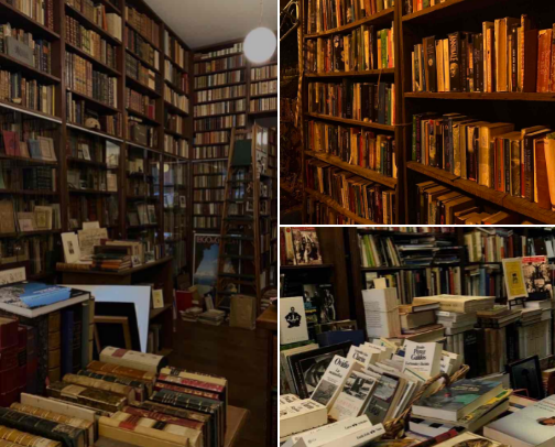 5 star books recs 📚⭐️ cover photo collage