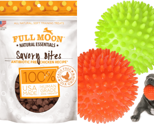 Pet favorites cover photo collage