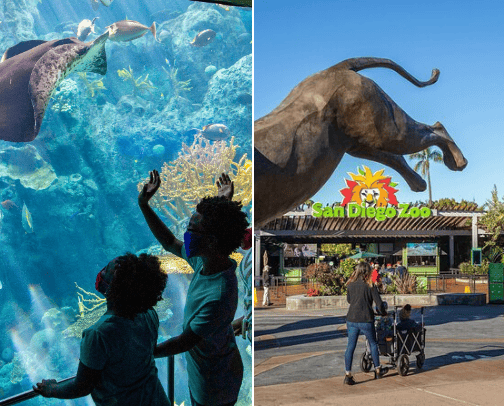 Things to do *FAMILY* Edition cover photo collage