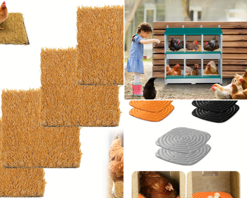 Must-Have Chicken Supplies for Backyard Keepers & Homesteaders cover photo collage