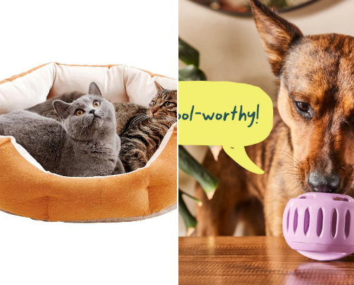 Dog Must-Haves cover photo collage