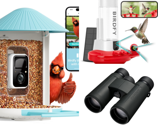 10 Bird Watching Gifts 2026: For the Backyard Birder cover photo collage