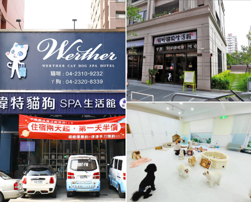 Popular / Well-Known Pet Services & Chains in Taiwan cover photo collage