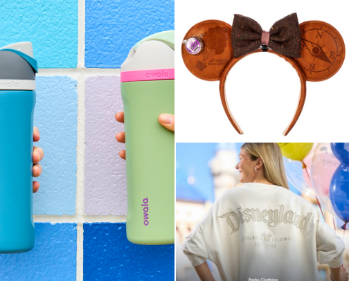 Disneyland List cover photo collage