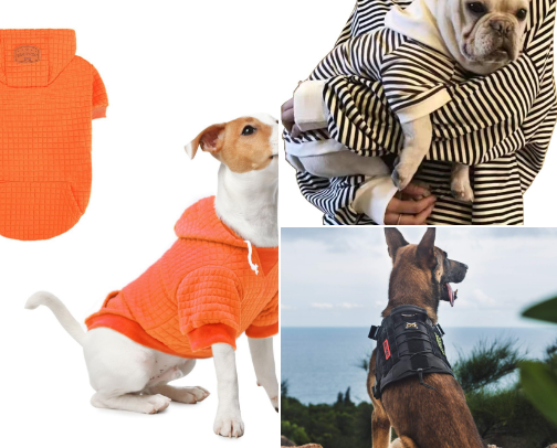 Dog Fashion Trends: Neutral Streetwear Edition cover photo collage