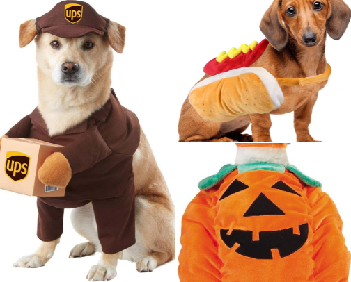 Dog Halloween Costume & Party Kit: Everything Your Pup Needs for Trick-or-Treat Season cover photo collage