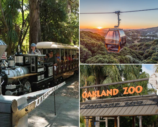 Things to do at the Oakland Zoo cover photo collage