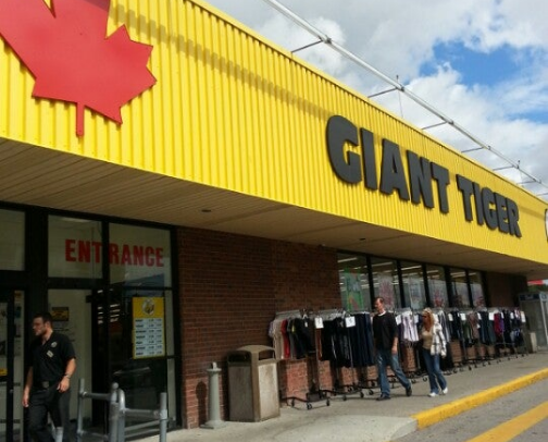 Giant tiger cover photo collage