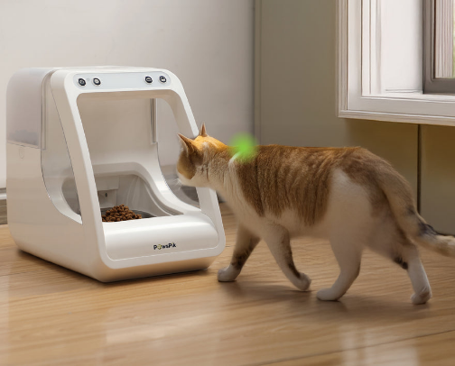 My Cat's Favorites cover photo collage