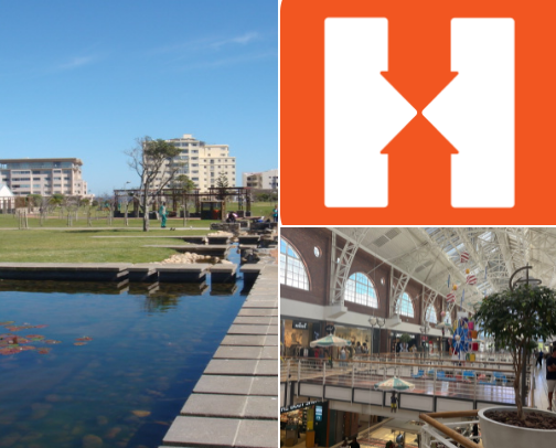 My top Cape Town recs cover photo collage