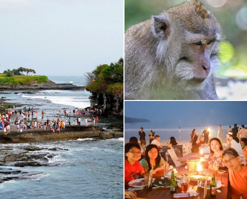 Things to Do in Bali cover photo collage