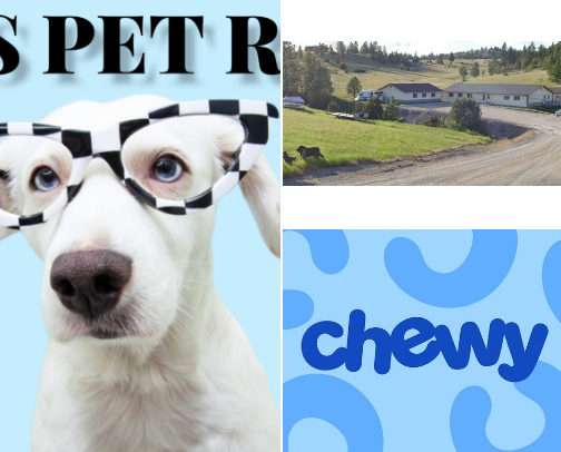All things dogs cover photo collage