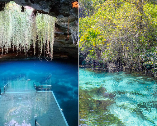 Florida springs cover photo collage