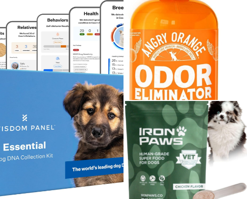 Everything Your Dog Deserves cover photo collage