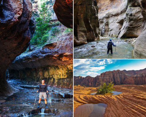 Local things for tourists to see, do, & eat cover photo collage