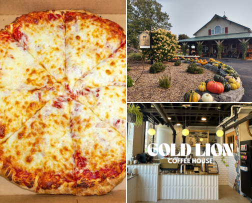 The Best of Buffalo, NY cover photo collage