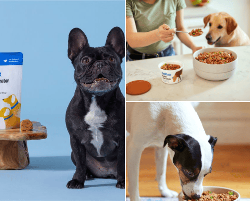• Best dog food cover photo collage