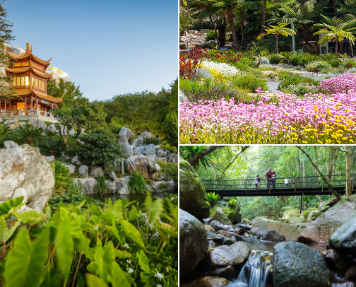 Family Outings | Places We Love To Take Our Girls cover photo collage