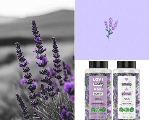 🪻Calm & Cozy shower routine cover photo collage