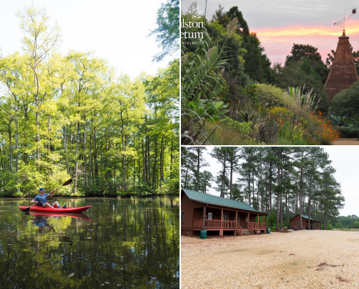 Things To Do in JoCo NC cover photo collage