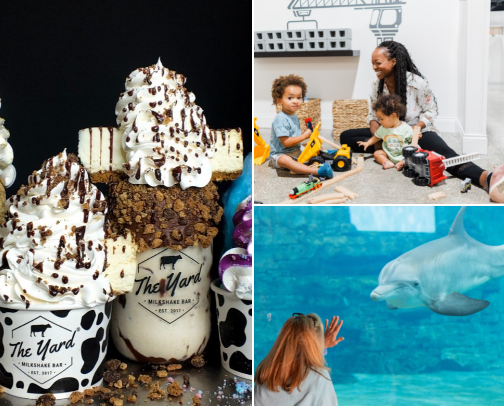 Best Kid Friendly activities in Tampa cover photo collage