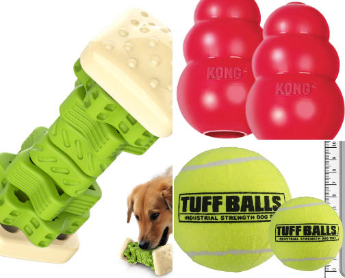 My dog Bambi's go-tos 🦮 cover photo collage