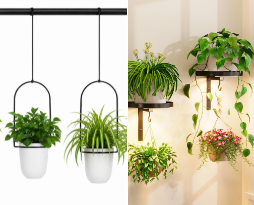 For my plants, so my cats won’t eat them! cover photo collage