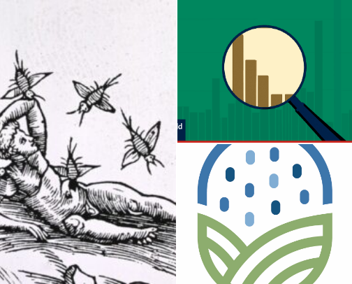 Favorite Corners of the Internet cover photo collage