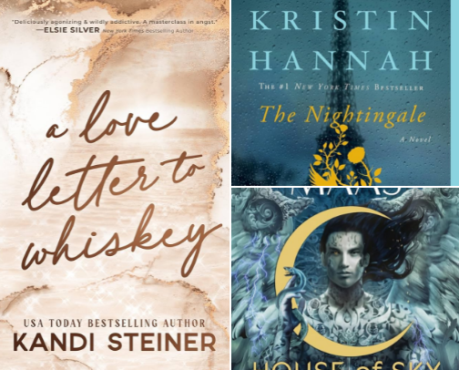 Top 5 Books of 2025 cover photo collage