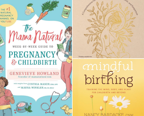 Best Pregnancy & Newborn Books for Moms cover photo collage