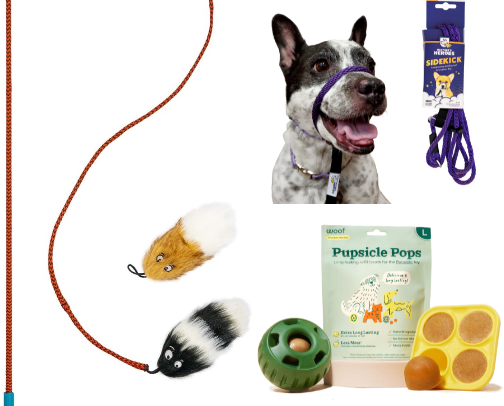 Dog Products We Love! cover photo collage