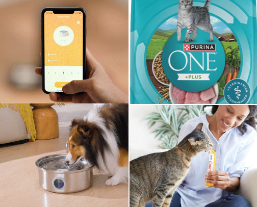 Best Cat Foods, Treats & Hydration Tips — Simple Nutrition Fixes for Every Cat Parent cover photo collage