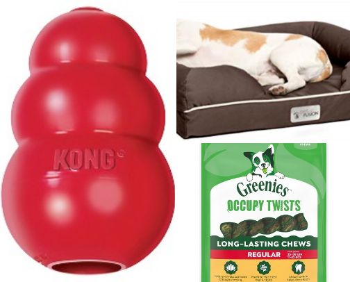 ✨ The Luxe Canine: Premium & Ergonomic Upgrades for Dogs. cover photo collage