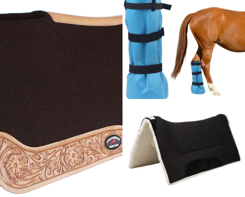 Horse tings cover photo collage