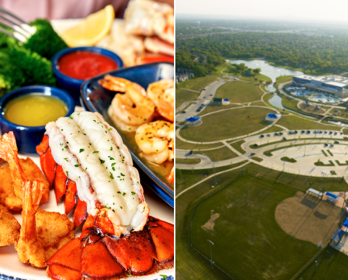 My top local recs cover photo collage