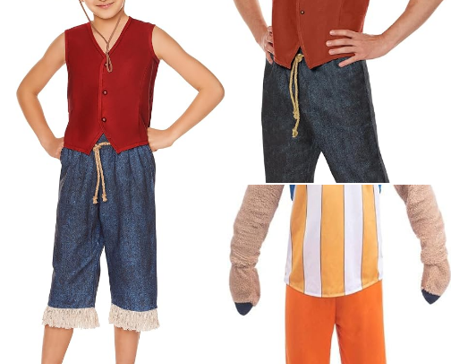 One Piece Luffy & More Costumes cover photo collage